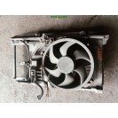 Frontmaske Schlossträger Wasserkühler Kühlerlüfter Peugeot 206 Ordonez