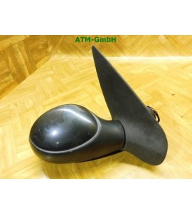 Seitenspiegel rechts Peugeot 206 Farbcode EXL Schwarz Metallic 96480957XT