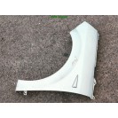 Kotflügel links Renault Scenic 2 II Farbcode MV632 Silber Polar Grey Boreal