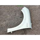 Kotflügel links Renault Scenic 2 II Farbcode MV632 Silber Polar Grey Boreal