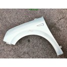 Kotflügel links Renault Scenic 2 II Farbcode MV632 Silber Polar Grey Boreal