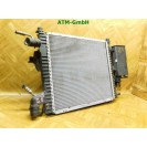 Aktivkohlebehälter Kühler Kondensator Renault Twingo 1 I C06 7700433077