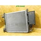 Aktivkohlebehälter Kühler Kondensator Renault Twingo 1 I C06 7700433077