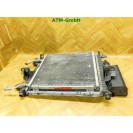 Aktivkohlebehälter Kühler Kondensator Renault Twingo 1 I C06 7700433077