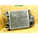 Aktivkohlebehälter Kühler Kondensator Renault Twingo 1 I C06 7700433077