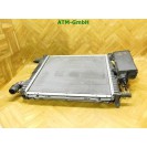 Aktivkohlebehälter Kühler Kondensator Renault Twingo 1 I C06 7700433077