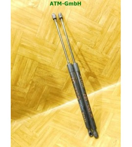 Gasdruck Heckklappendämpfer x 2 Stück hinten Mercedes Benz B-Klasse W245
