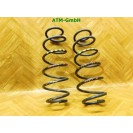 Feder Federn x 2 Stück hinten Mercedes Benz B-Klasse W245 Sports Tourer