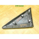 Abdeckung Spiegeldreieck Verkleidung rechts Ford Transit Connect Beifahrerseite