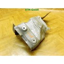 Blech Hitzeschild Hitzeblech VW Polo 9N3 KLG 03D253035F