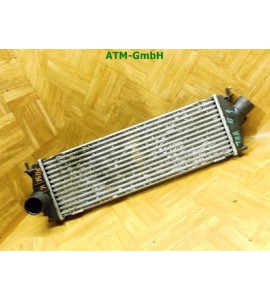 Ladelüftkühler Interkühler Renault Traffic Valeo 8200411160C