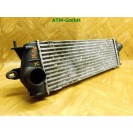 Ladelüftkühler Interkühler Renault Traffic Valeo 8200411160C