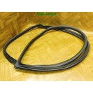 Dichtung vorne rechts Türdichtung Mini Cooper R50 Beifahrerseite