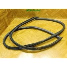 Dichtung vorne rechts Türdichtung Mini Cooper R50 Beifahrerseite