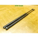 Heckklappendämpfer Gasdruck Gadsdämpfer x 2 Stück hinten Smart ForFour 454