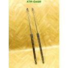 Hekklappendämpfer Gasdruck x 2 Stück hinten Dacia Logan 2 II 904527457R