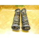 Feder Federn x 2 Stück hinten Ford Focus 3 III