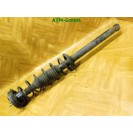 Federbein Pralldämpfer Stoßdämpfer hinten Renault Twingo 1 I