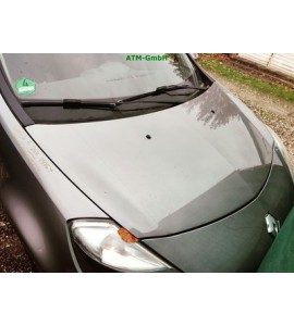 Motorhaube Renault Clio 3 III Farbcode TEKNG Gris Cassiopee