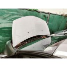 Motorhaube Renault Clio 3 III Farbcode TEKNG Gris Cassiopee