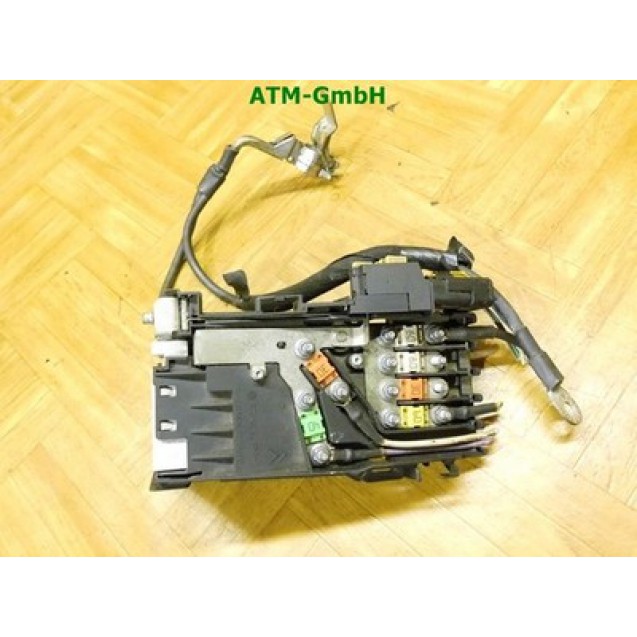 Sicherungskasten Citroen C4 Delphi 9665794780