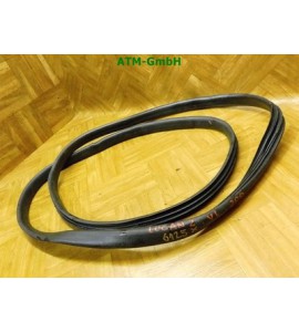 Türdichtung vorne links Dacia Logan 2 II Fahrerseite