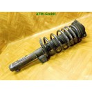 Federbein Pralldämpfer Stoßdämpfer vorne links VW EOS 1T0413031DN