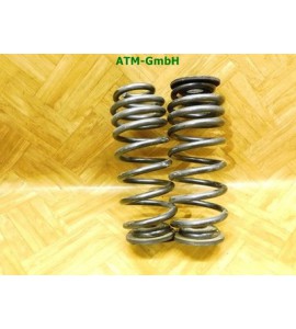 Feder Federn x 2 Stück hinten VW EOS Cabrio H&R KBA 91074