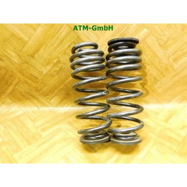 Feder Federn x 2 Stück hinten VW EOS Cabrio H&R KBA 91074