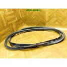 Türdichtung Dichtung vorne links Citroen C3 I Fahrerseite