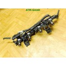 Einspritzdüse Einspritzleiste Renault Twingo 2 II 8200367230 Mann+Hummel