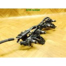 Einspritzdüse Einspritzleiste Renault Twingo 2 II 8200367230 Mann+Hummel