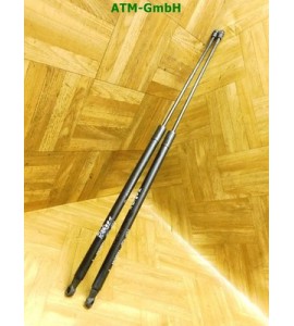 Gasdruck Gasdämpfer Heckklappendämpfer x 2 Stück hinten Renault Kangoo