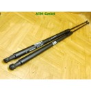 Gasdruck Gasdämpfer Heckklappendämpfer x 2 Stück hinten Renault Kangoo