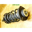 Federbein Pralldämpfer Stoßdämpfer vorne rechts VW Polo 9N3 Beifahrerseite