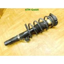 Federbein Pralldämpfer Stoßdämpfer vorne rechts VW Polo 9N3 Beifahrerseite
