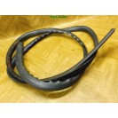 Türdichtung vorne links Renault Twingo 2 II 3 türig Fahrerseite