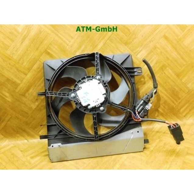 Lüfter Elektrolüfter Kühlerlüfter Citroën C3 8479