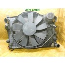Elektrolüfter Lüfter Wasserkühler Mercedes Benz W220 Behr