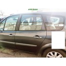 Tür hinten links Renault Scenic 2 II Farbcode TEB66 Grau Gris Eclipse Metallic