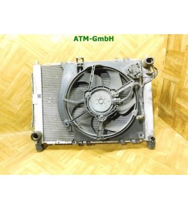 Wasserkühler Kühlerlüfter Lüftermotor Lüfter Renault Clio 3 III 8200221498