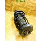 Federbein Pralldämpfer Stoßdämpfer vorne Citroën C3