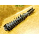 Federbein Pralldämpfer Stoßdämpfer vorne rechts Kia Rio Beifahrerseite