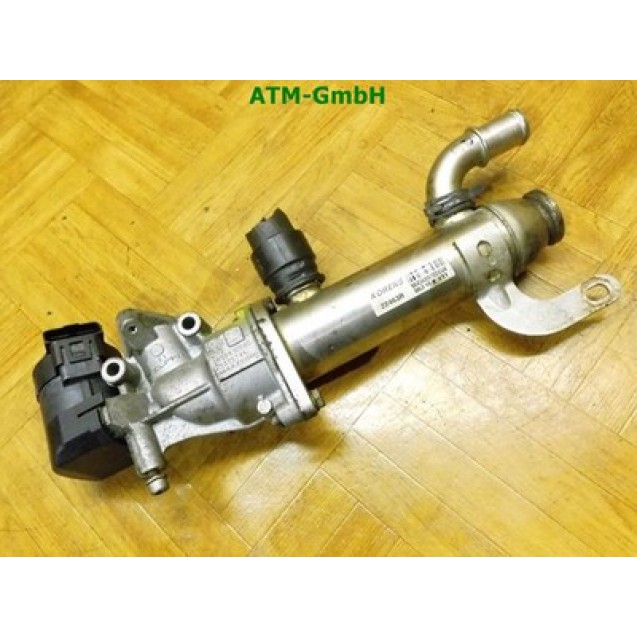 AGR Ventil Abgasrückführungsventil Fiat Scudo Delphi 9656612380 25375741