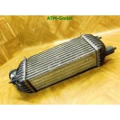 Interkuhler Ladeluftkühler Fiat Scudo Behr E5542007