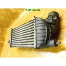Interkuhler Ladeluftkühler Fiat Scudo Behr E5542007
