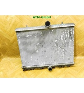 Kühler Kondensator Fiat Scudo