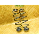 Feder Federn x 2 Stück hinten Skoda Citigo