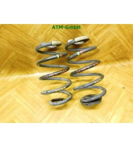 Feder Federn x 2 Stück hinten Renault Clio 3 III