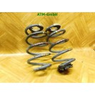 Feder Federn x 2 Stück hinten Renault Clio 3 III